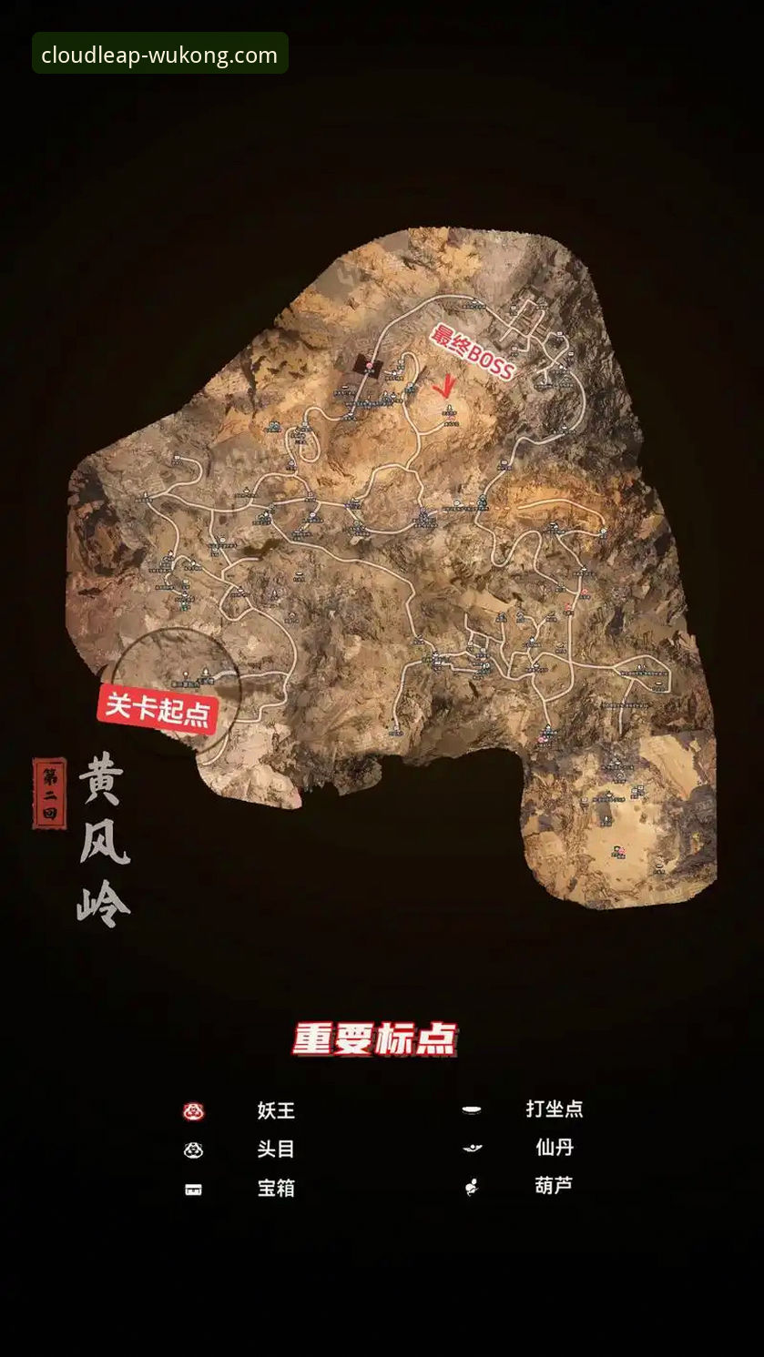 悟空体育WUKONG对比指南：新手必看的平台深度解析