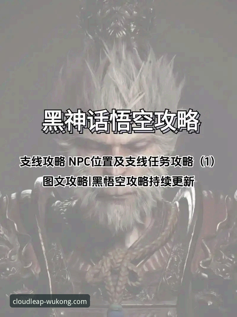 悟空体育手机App下载 悟空体育手机App下载与使用全攻略:新手快速上手指南